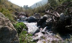 Lemie Pulizia Rio Prima